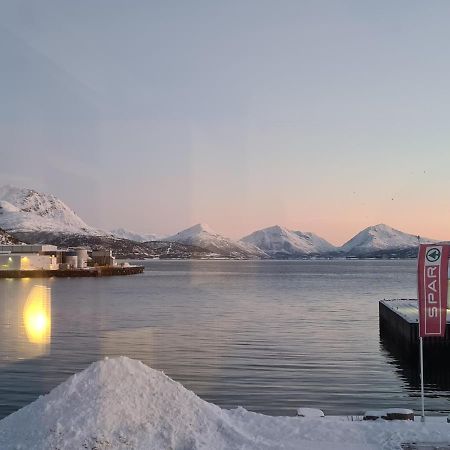 Aurora Harbour House Villa Lodingen Kültér fotó