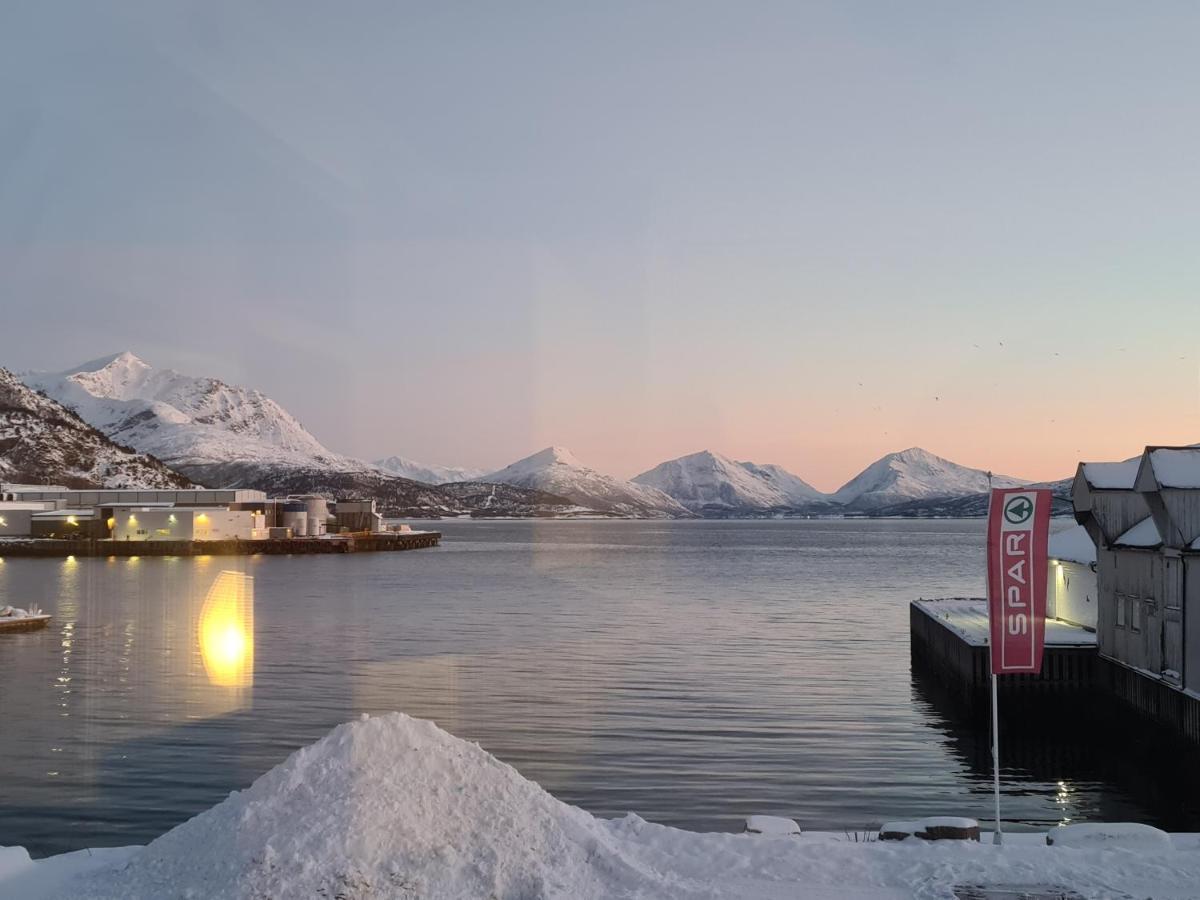Aurora Harbour House Villa Lodingen Kültér fotó