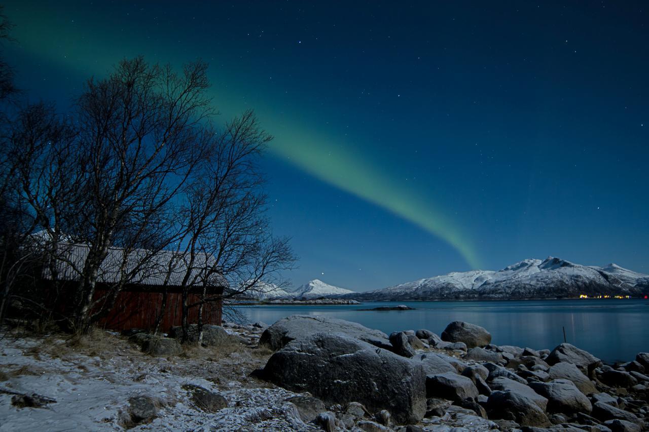 Aurora Harbour House Villa Lodingen Kültér fotó
